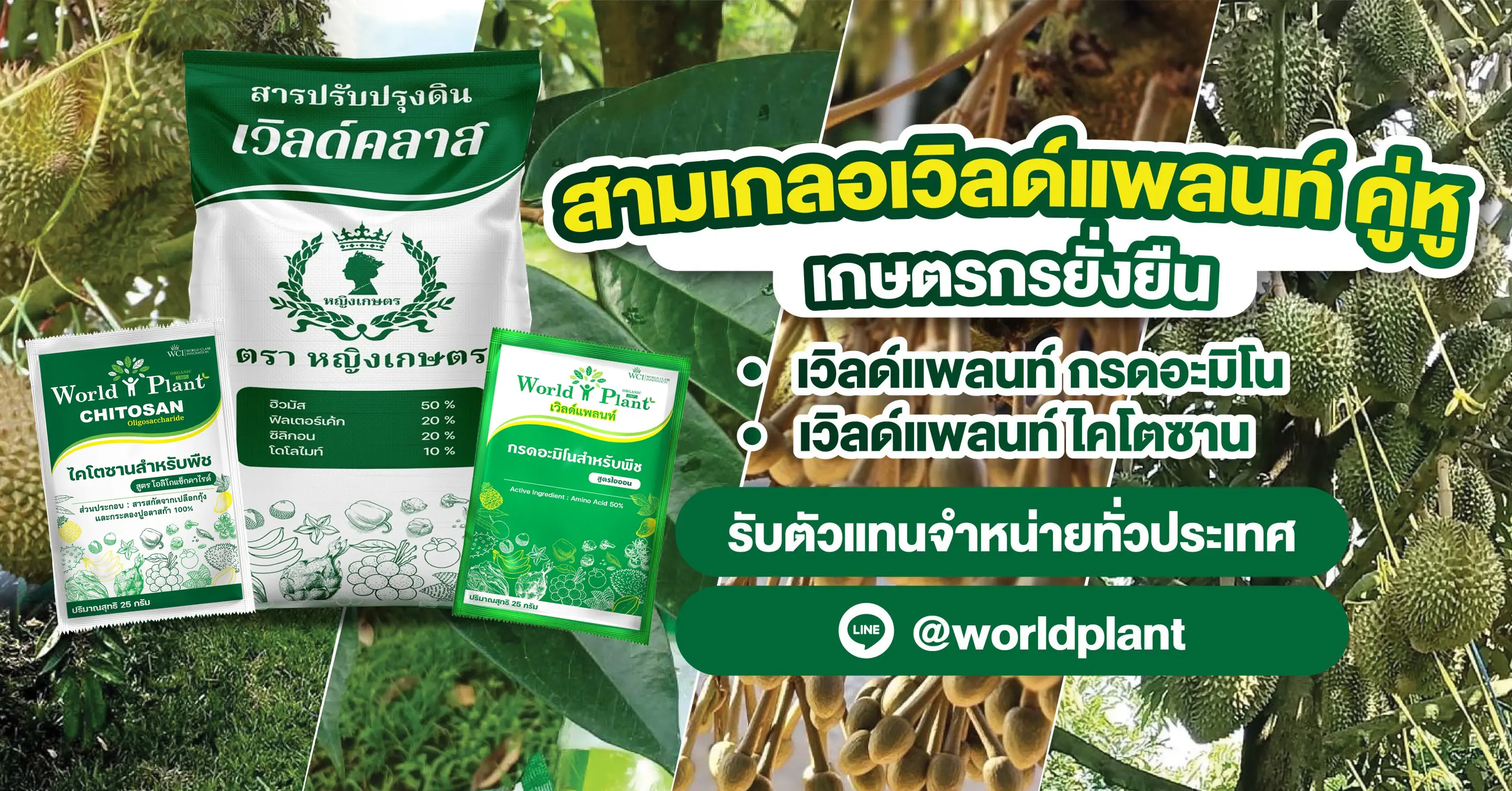 คู่หูมหัศจรรย์