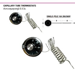 E.G.O. เทอร์โมสตาร์ท 55.13012.010 0 - 40°C