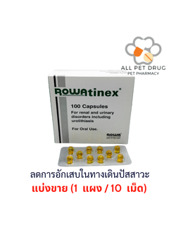 Rowatinex (1 แผง/10เม็ด) ลดการอักเสบในทางเดินปัสสาวะ