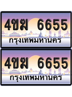 ทะเบียน 6655 ป้ายประมูล 4ขฆ 6655 (6)