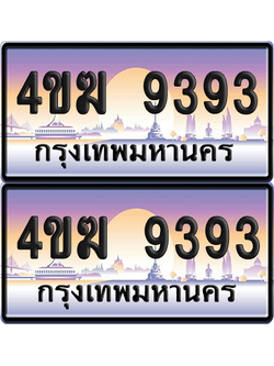 ทะเบียน 9393 ป้ายประมูล 4ขฆ 9393 (1)