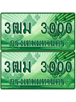 ป้ายประมูล 3000 เลขรถ 3ฒม 3000 กระบะแคป (6)