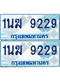 ทะเบียนรถตู้ 9229 รถตู้ป้ายฟ้า 1นฆ 9229 เลขประมูล (4)