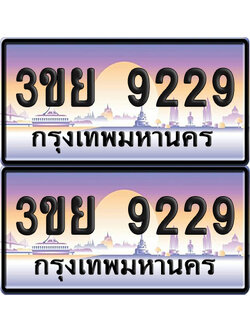 ทะเบียน PAITABIEN 9229 – เลขประมูล 3ขย 9229 (4)