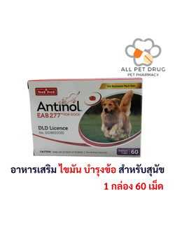 Antinol EAB 227 For Dog (1 กล่อง /60 เม็ด) แอนทินอล อาหารเสริมไขมัน บำรุงข้อ สำหรับสุนัข