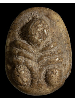 พระปิดตาพิมพ์จั๊กจั่น กรุวัดอัมพวา