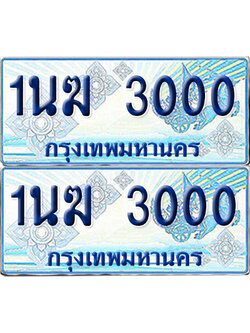 ทะเบียนรถตู้ 3000 1นฆ 3000 จากกรมขนส่ง (เลขมงคล)