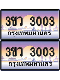 ทะเบียนรถ 3003 ป้ายประมูล - 3ขว 3003 พร้อมส่งมอบ (5)