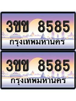 ทะเบียน PAITABIEN 8585 – เลขประมูล 3ขข 8585 (1)