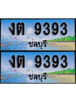 ทะเบียน 9393 – งต 9393 ชลบุรี (1)