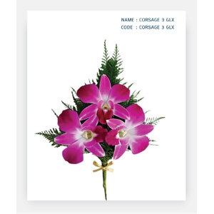 CORSAGE-3-GLX