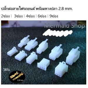 ปลั๊กต่างๆ