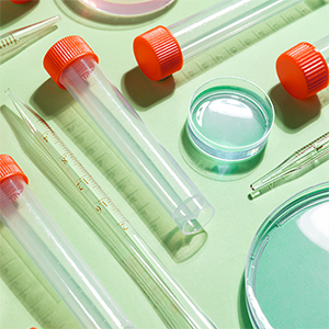 Consumable Products (วัสดุสิ้นเปลือง)