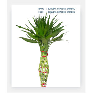 BOWLING-BRAIDED-BAMBOO