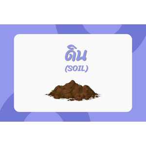 ดิน (Soil)