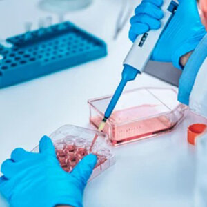 DNA , Protein & Molecular