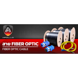 สายไฟเบอร์ และ อุปกรณ์ไฟเบอร์