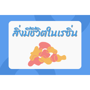 สิ่งมีชีวิตในเรซิ่น