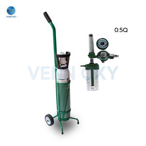 ถังออกซิเจน ขนาด 0.5 คิว (อุปกรณ์พร้อมใช้งาน)