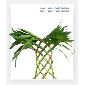 WALL-LEAVES-BAMBOO