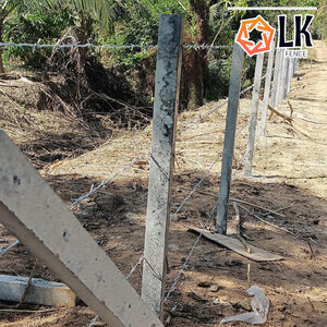 รั้วลวดหนาม