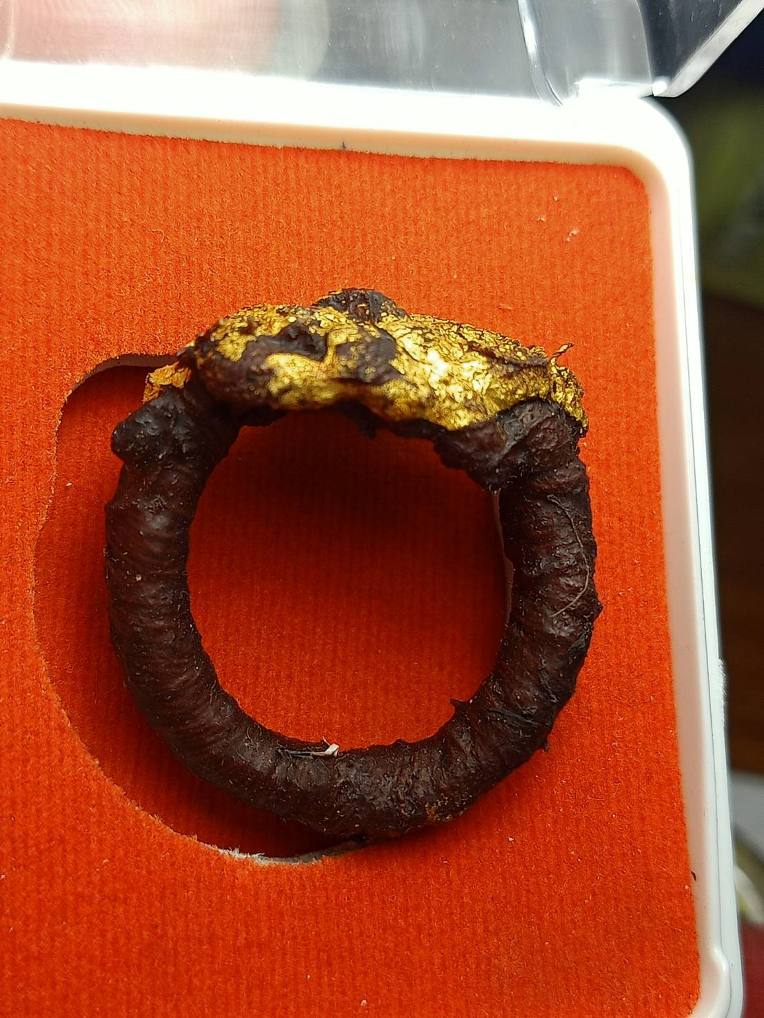 แหวนผูกพระพิรอด (ยอดทุกเรื่อง) ลงรักผสมผงยา วันดอนศาลา จ.พัทลุง ปี 2557 พร้อมกล่อง (SKU-07114)