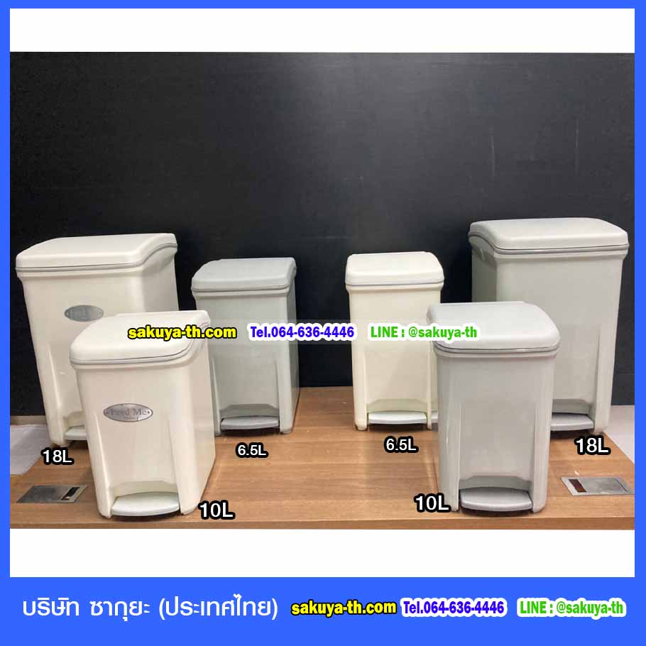 ถังขยะ,ถังขยะเทศบาล,ถังขยะแยกประเภท,ถังขยะพลาสติกใส,ถังขยะทรงเหลี่ยม,แท่นวางถังขยะ,ถังขยะเล็ก,ถังขยะเท้าเหยียบ,ถังขยะ 4 สี