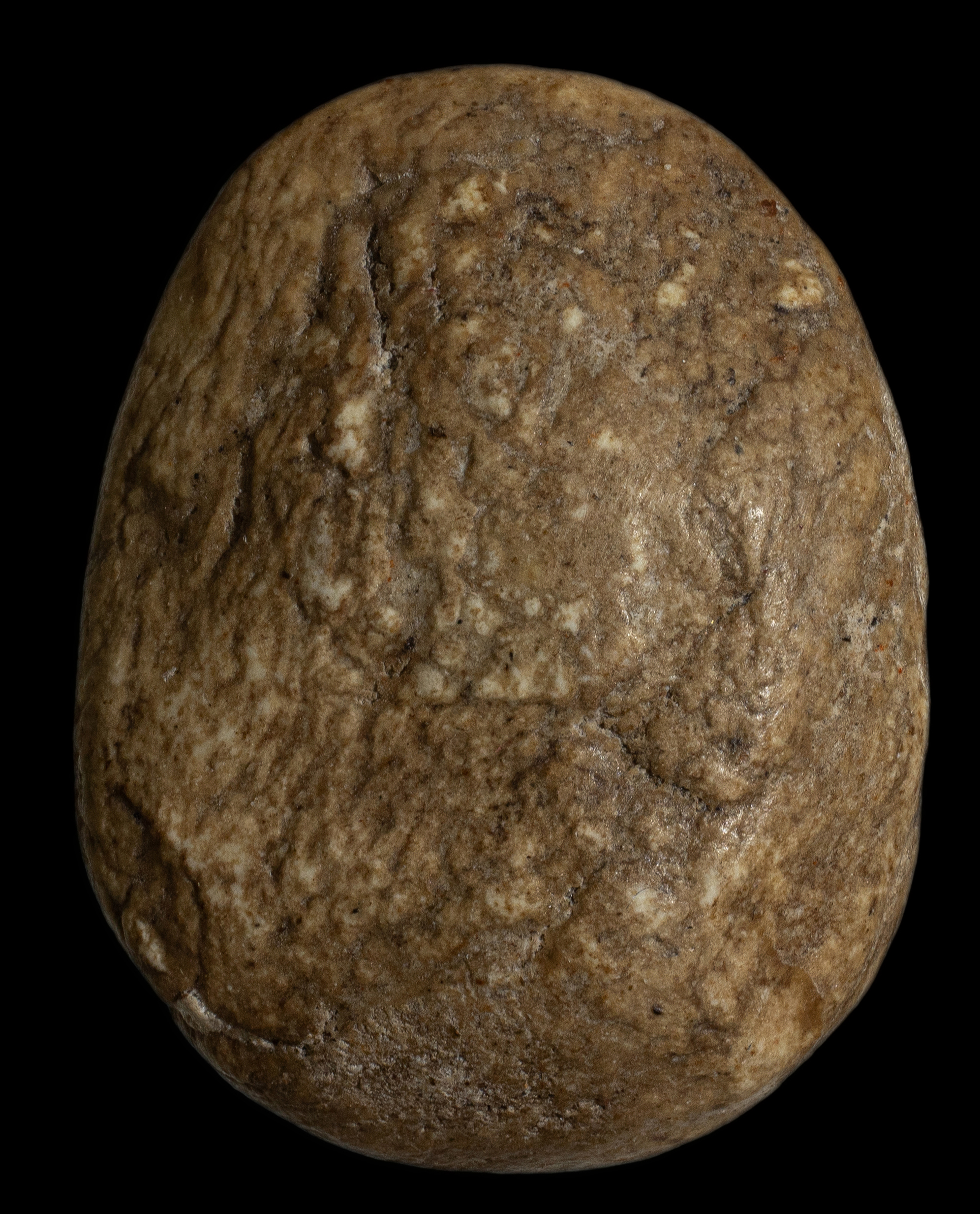 พระปิดตาพิมพ์จั๊กจั่น กรุวัดอัมพวา