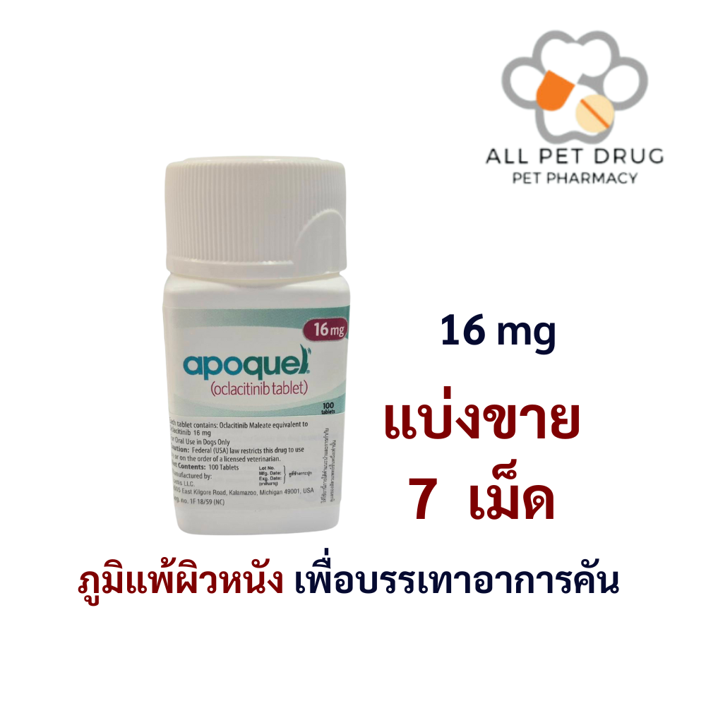 Apoquel 16 mg (บรรจุ 7 เม็ด)ใช้โรคภูมิแพ้ผิวหนัง เพื่อบรรเทาอาการคัน