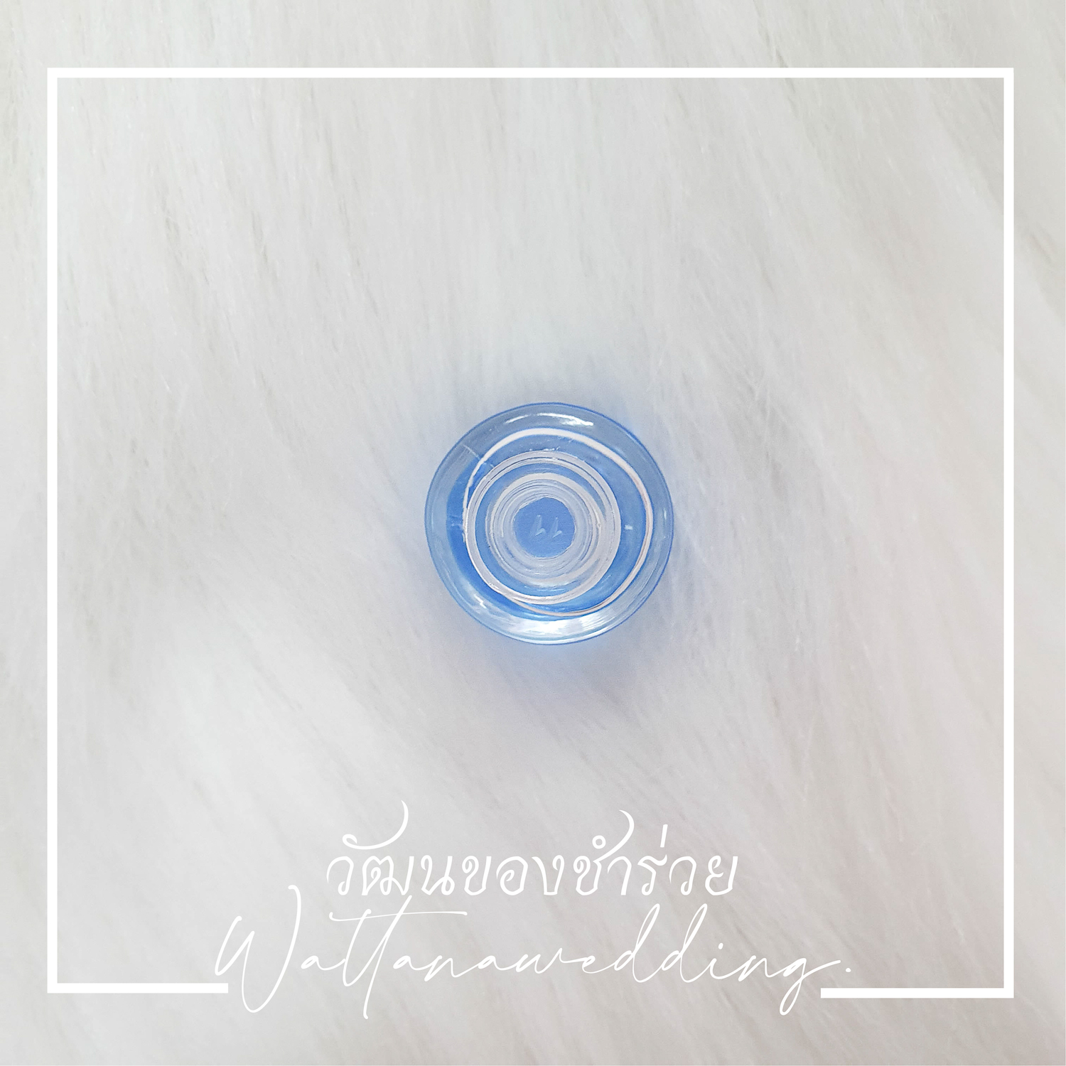 พิมเสนน้ำ (ฝากุหลาบ)