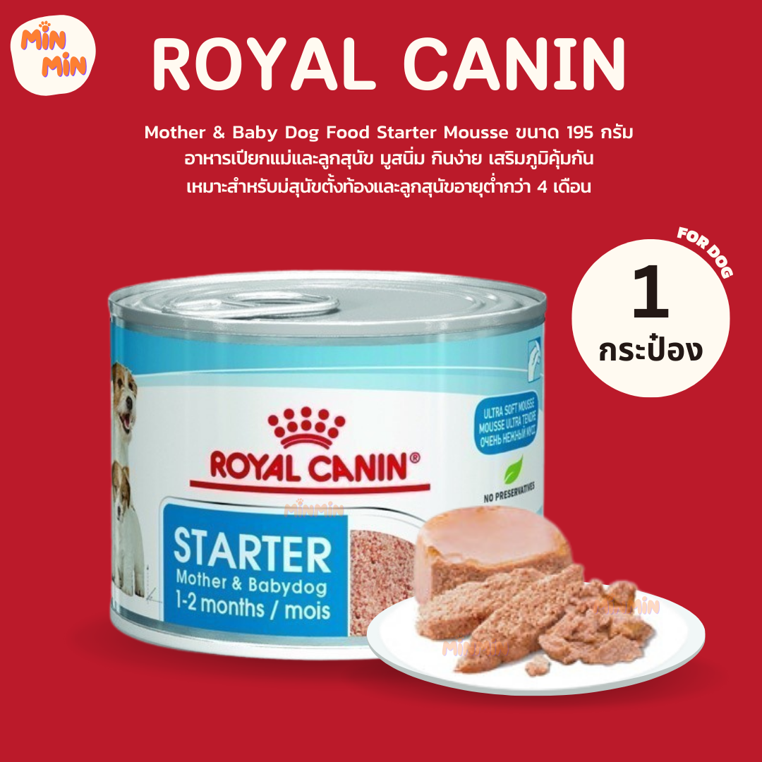[ 1 กระป๋อง] Royal Canin Starter Mousse (ลูกหมา/หมาป่วย/แม่หมา) สตาร์ทเตอร์มูส 195g สตาร์ทเตอร์ มูส