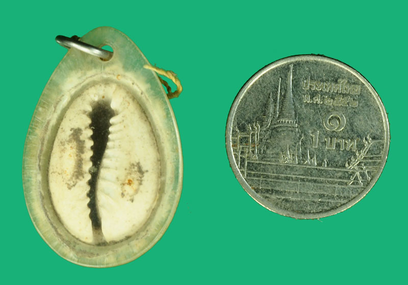 *36427 เบี้ยแก้เลี่ยมพลาสติกเก่า อายุหลายสิบปี ไม่ทราบที่และปีสร้าง 12