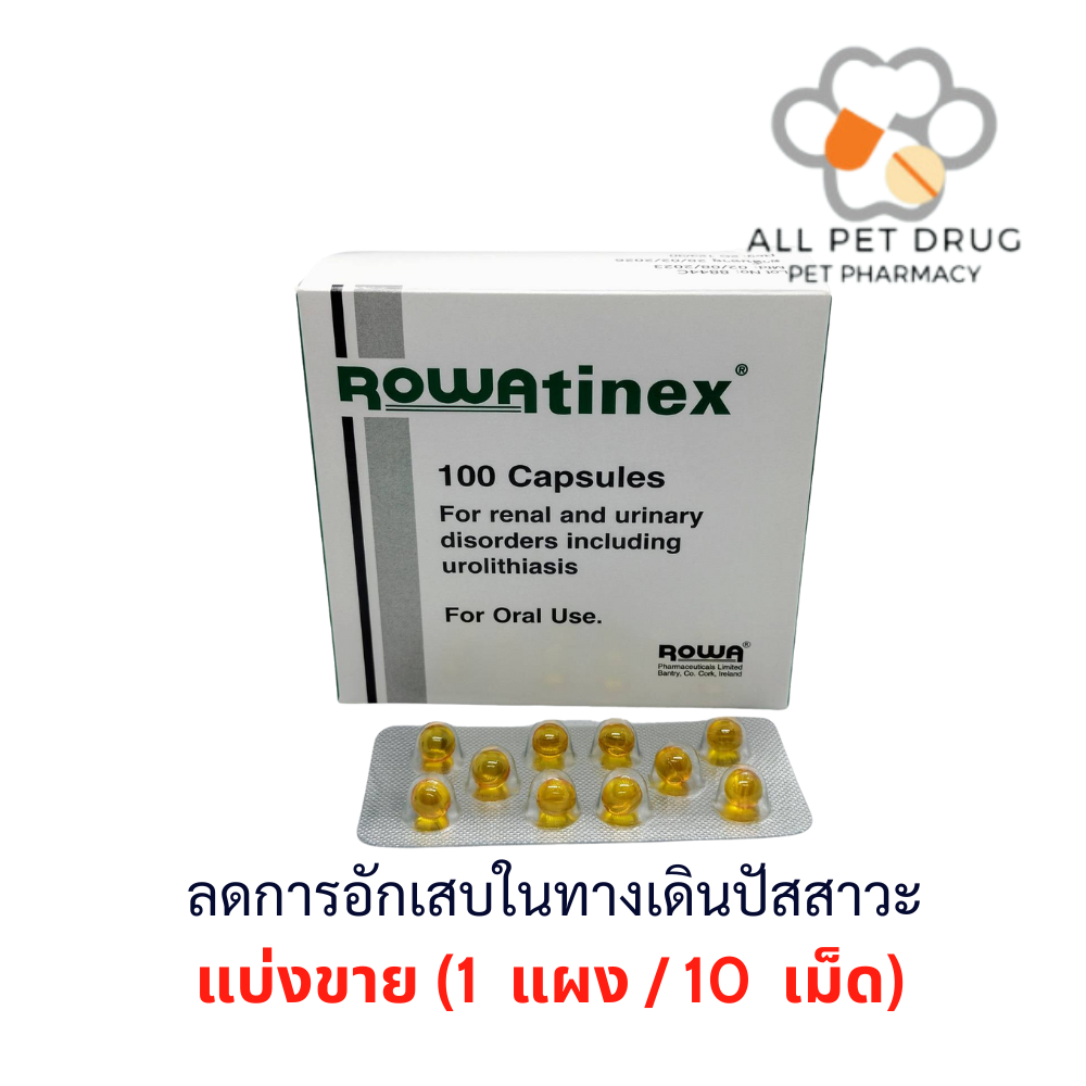 Rowatinex (1 แผง/10เม็ด) ลดการอักเสบในทางเดินปัสสาวะ