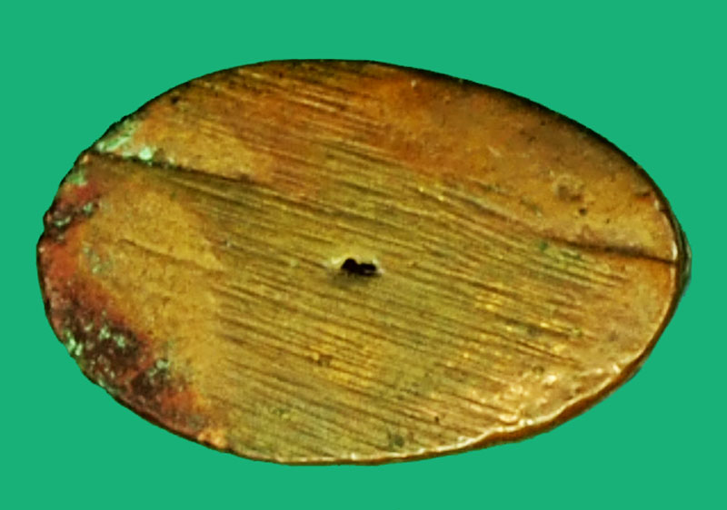 36351 เสือไม่ทราบที่และปีสร้าง เป็นเกจิอารย์ไม่เก่ามาก 12