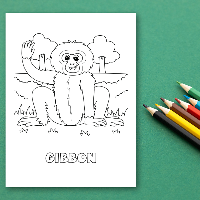 สมุดระบายสีสัตว์ป่า Wildlife Coloring Book