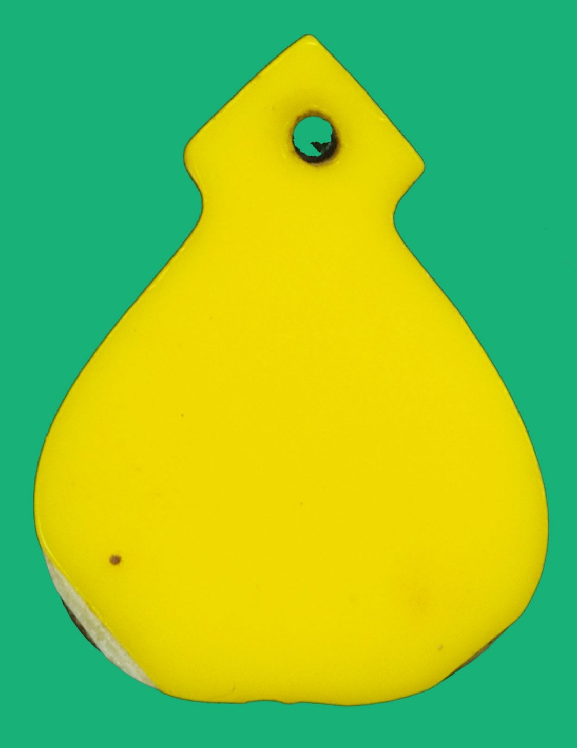 *37767 สิงห์แกะฉากกระดาษสะท้อนแสง หลวงพ่อหอม วัดซากหมาย ระยอง 67