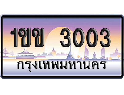 ทะเบียน 3003 ป้ายประมูล 1ขข 3003 ป้ายกราฟฟิก (4)