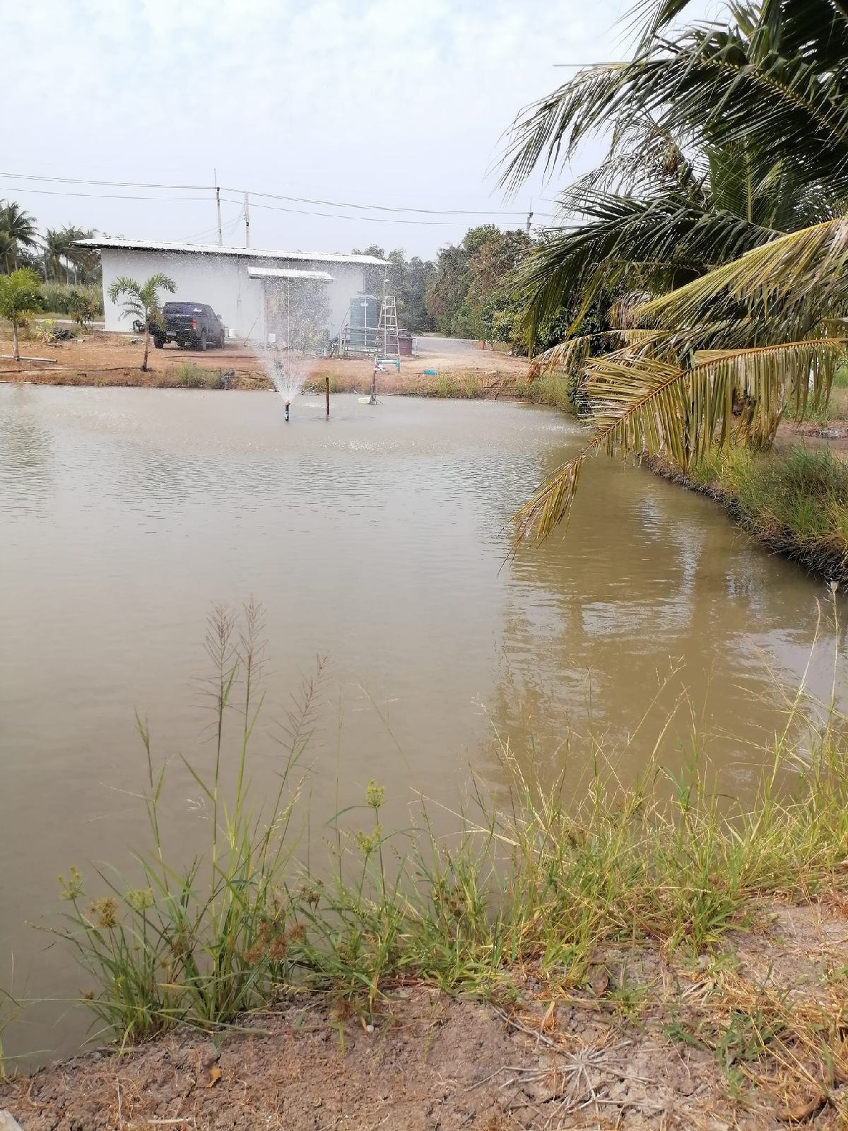 ขายที่ดินฉะเชิงเทรา 1 ไร่ 3 งาน | ติดถนน 60 ม. น้ำไม่ท่วม วิวสวย เจ้าของขายเอง