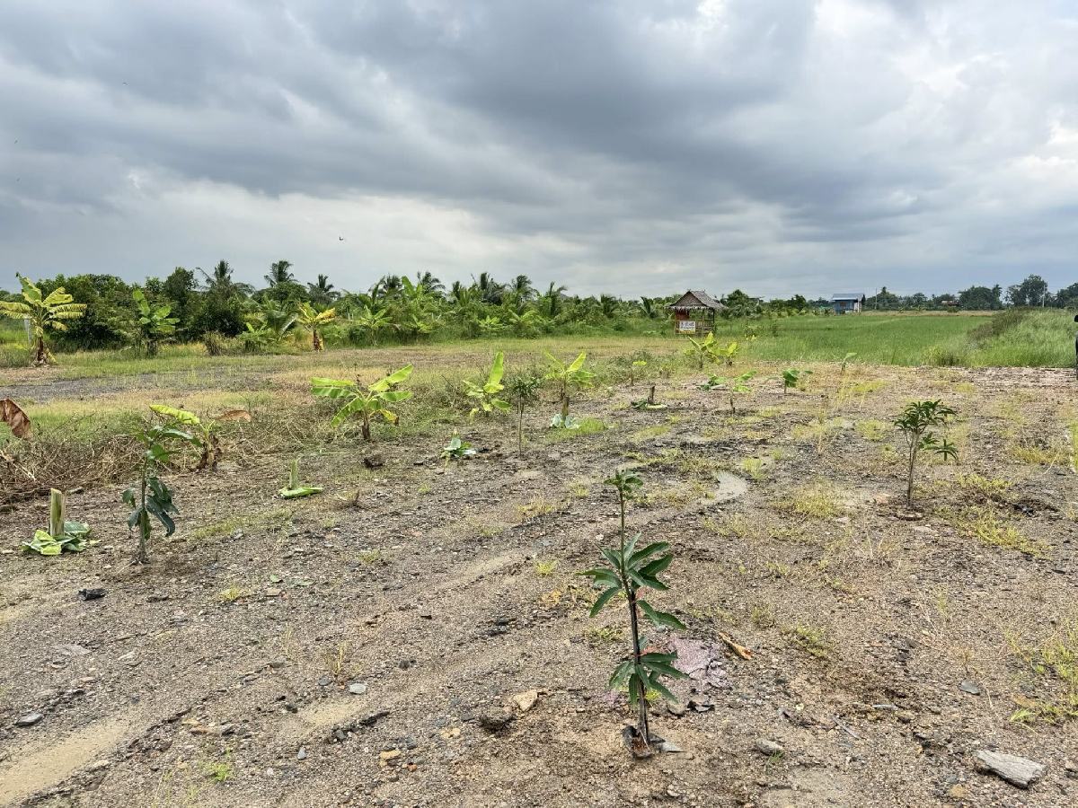 ขายที่ดินสวน ฉะเชิงเทรา 1 ไร่กว่า | ถมแล้ว มีสระน้ำ เจ้าของขายเอง