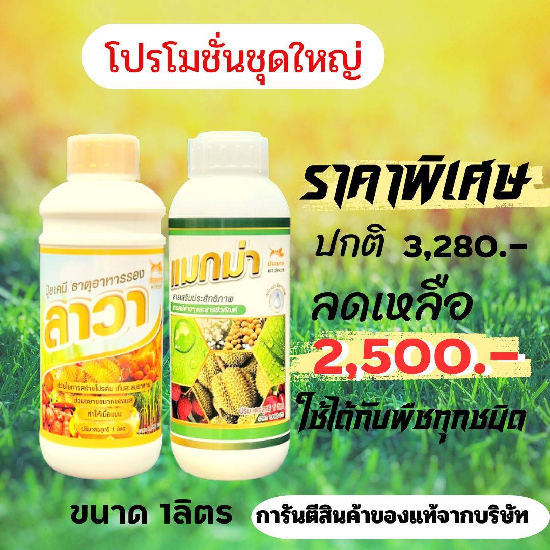 แมกม่า1000cc.+ปุ๋ยน้ำ้ลาวาขนาด1000cc. ชุดใหญ