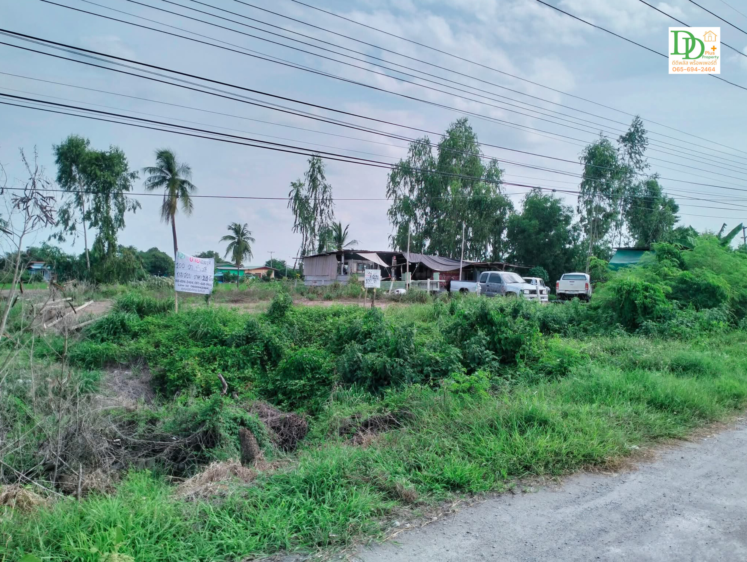 ที่ดินเปล่า 100 ตรว. ริมถนนใกล้วัดไผ่โรงวัว