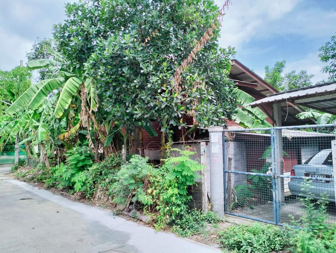 ที่ดินเปล่า ซ.หมู่บ้านอิ่มอัมพร ราชพฤกษ์