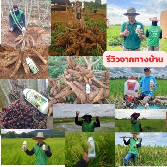 สารเสริมประสิทธิภาพ ขนาก250 cc 2ขวด