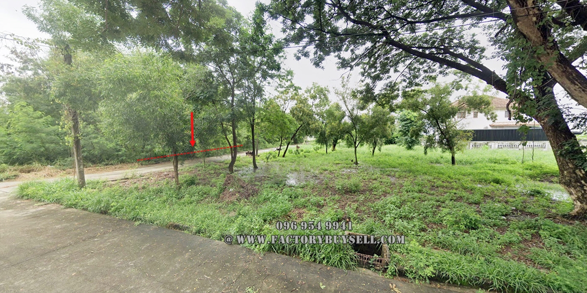ขายที่ดินสามโคก