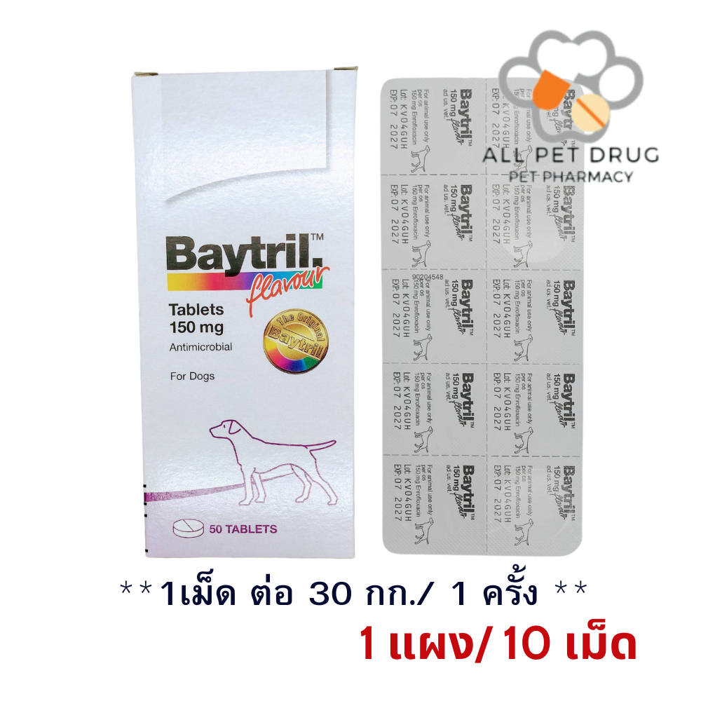 BAYTRIL ไบทริล 150 MG. (1 แผง/ 10 เม็ด)ยาปฏิชีวนะ (ยาฆ่าเชื้อ) ชนิดเม็ด สำหรับสุนัข