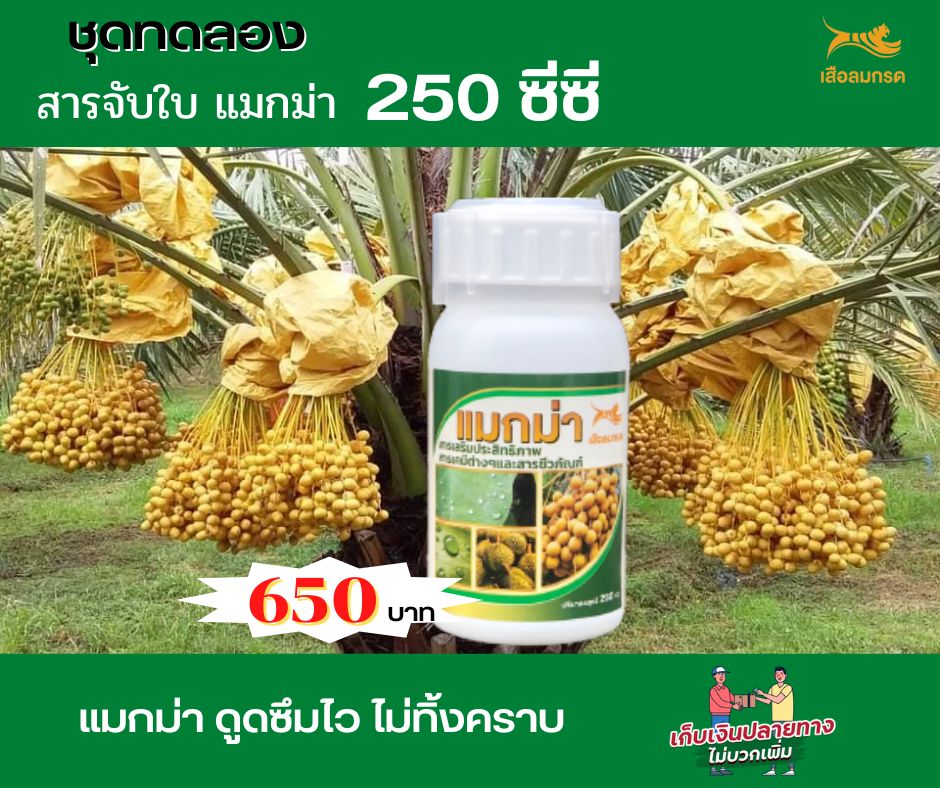 สารจับใบแมกม่า 250 ซีซี สารเสริมประสิทธิภาพพืช 1 ขวด