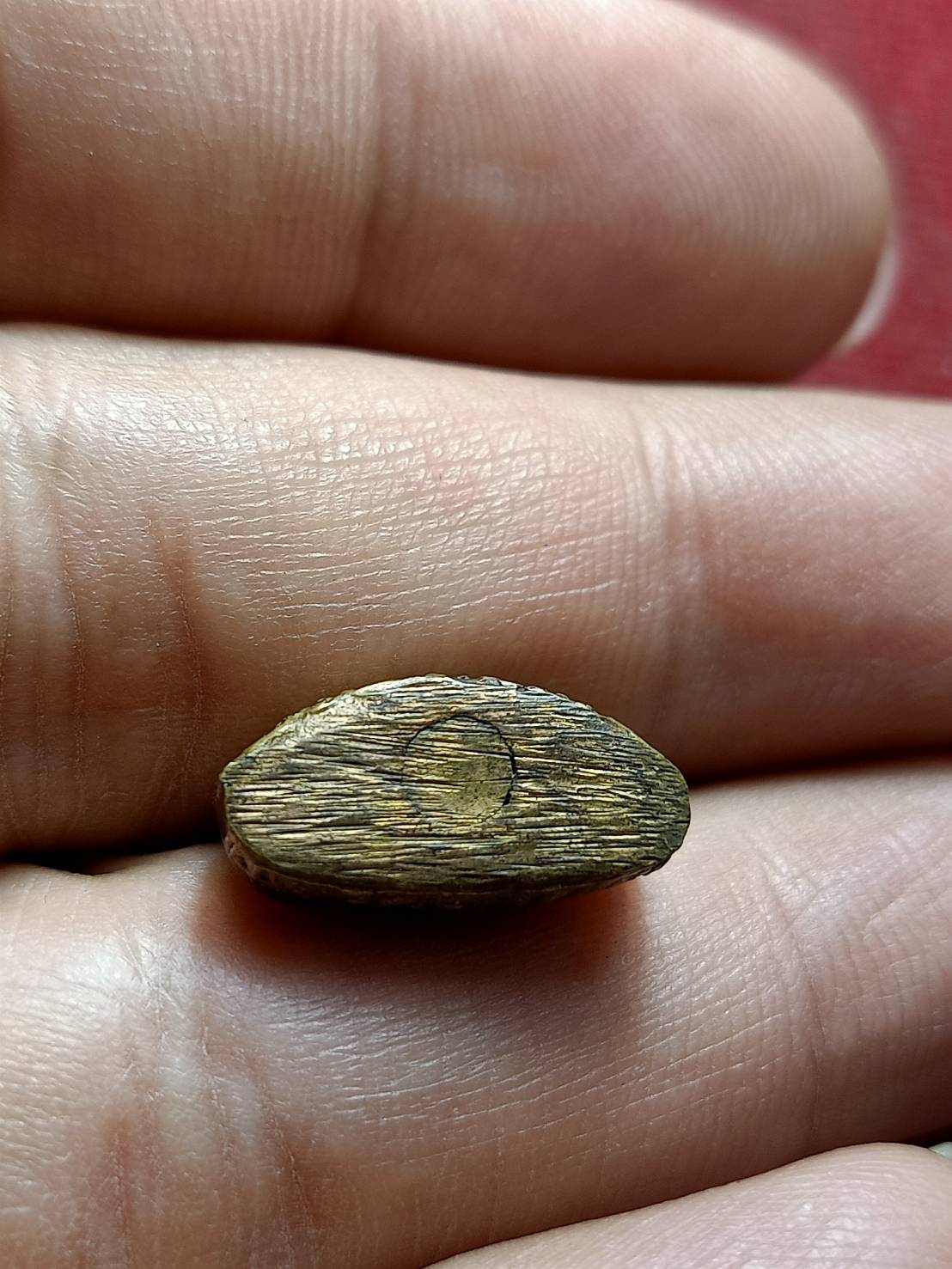 รูปหล่อหลวงพ่อทองดำ วัดถ้ำเชียงดาว จ.เชียงใหม่ (SKU-12890)