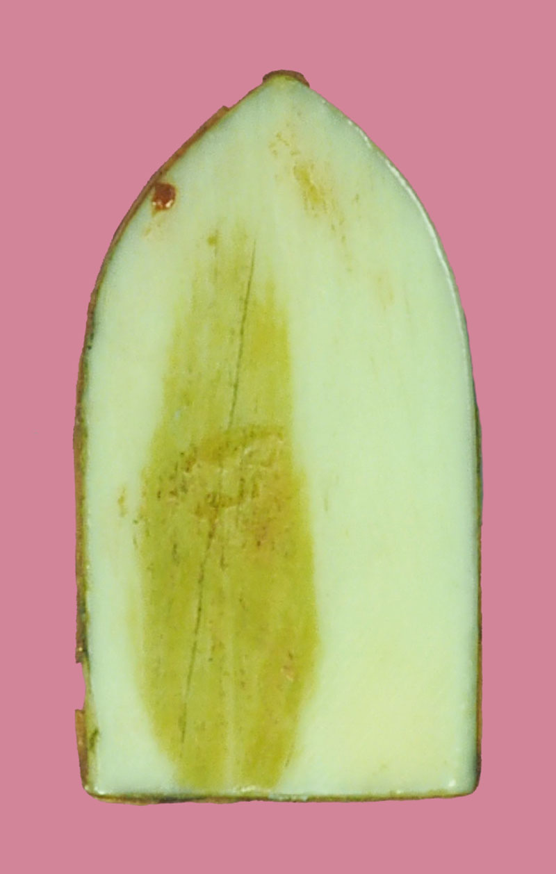 *39348 นางกวักแกะเก่า ไม่ทราบที่และปีสร้าง 3