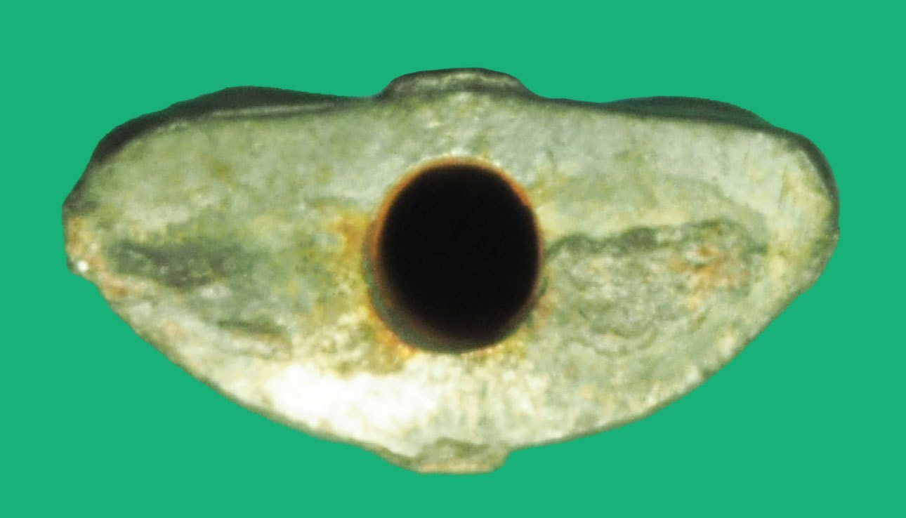 ขายแล้ว*38192 พระชัยวัฒน์ หลวงพ่อฑูรย์ วัดโพธิ์นิมิต กรุงเทพ ปี 2504 เนื้อชิน (จัดส่งตามภาพ)7