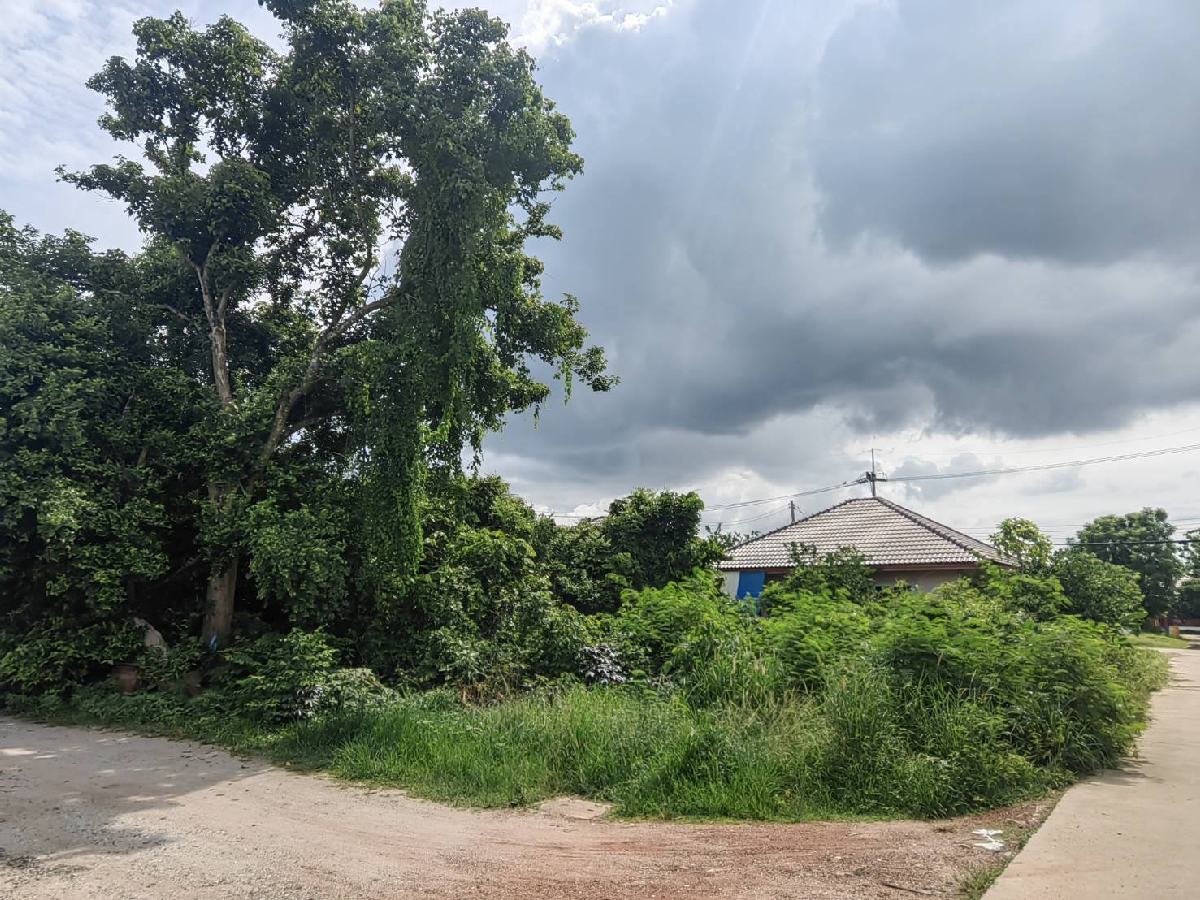 ขายที่ดิน 51 ตร.วา แปลงยาว ฉะเชิงเทรา | ใกล้ตลาดบางบ่อ–เซเว่นเกาะบรเพชร | เจ้าของขายเอง